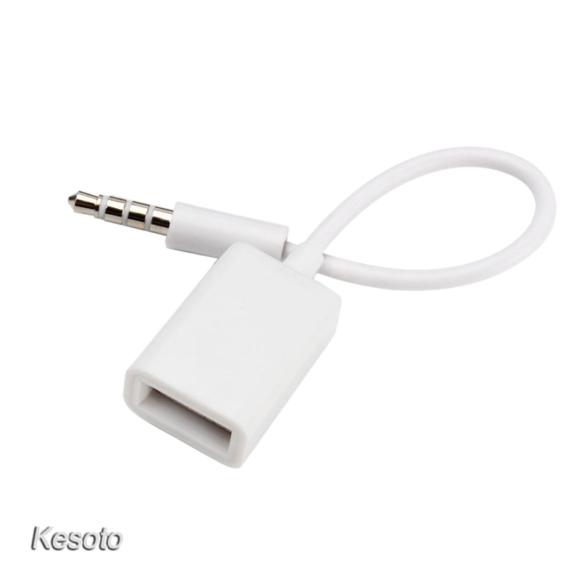 Dây cáp chuyển đổi cổng đầu cắm 3.5mm sang lỗ cắm USB 2.0 Type A