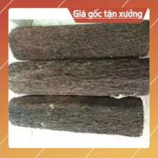 DỚN TRỤ TRỒNG LAN