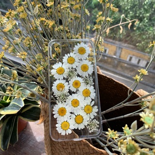 Ốp lưng hoa cúc ép khô -check trước khi đặt hàng