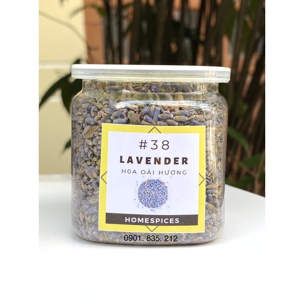 Lavender Hoa  oải hương Đà Lạt