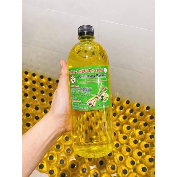 ĐƠN TỪ 50K