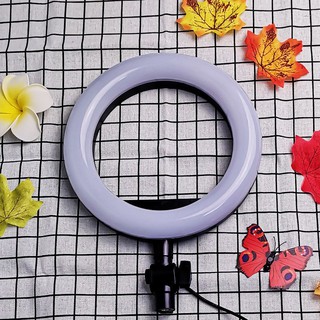 Đèn LiveStream 20cm .Hỗ trợ ánh sáng Chụp Ảnh, Make Up Trang Điểm. 3 Chế Độ Sáng