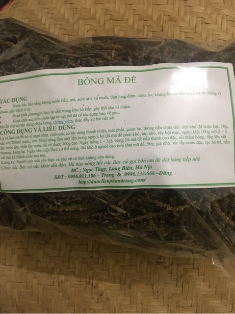 Bông mã đề