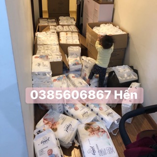 Bỉm dán Angel S66-M60-L56-XL56