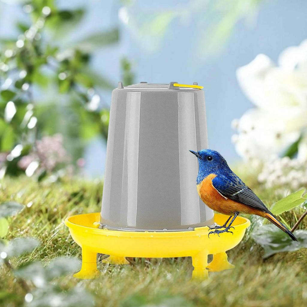 Dụng Cụ Cho Chim Uống Nước Koolsoo21