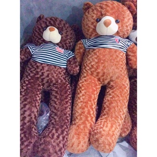gấu tedy 1m6