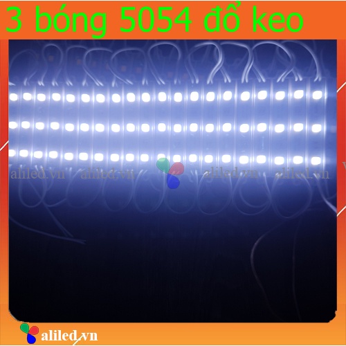 Đèn led hắt 3 bóng 5054 module led hắt