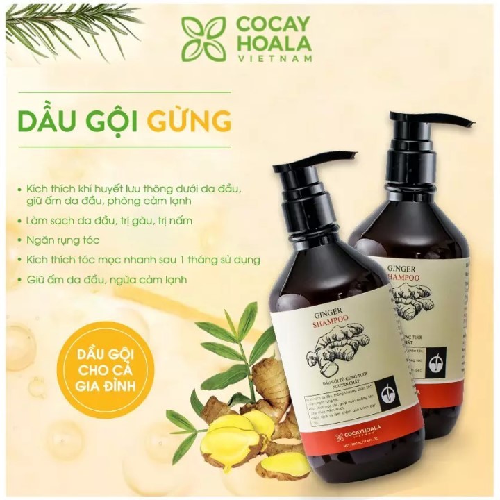 Combo dầu gội và dầu xả Gừng Cỏ cây hoa lá | BigBuy360 - bigbuy360.vn