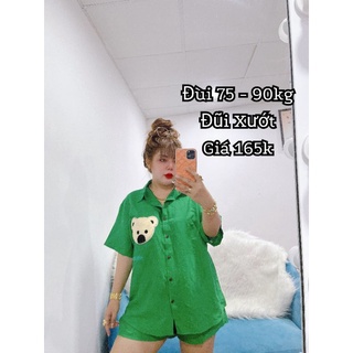 Bộ đùi gấu bigsize 60kg - 90kg