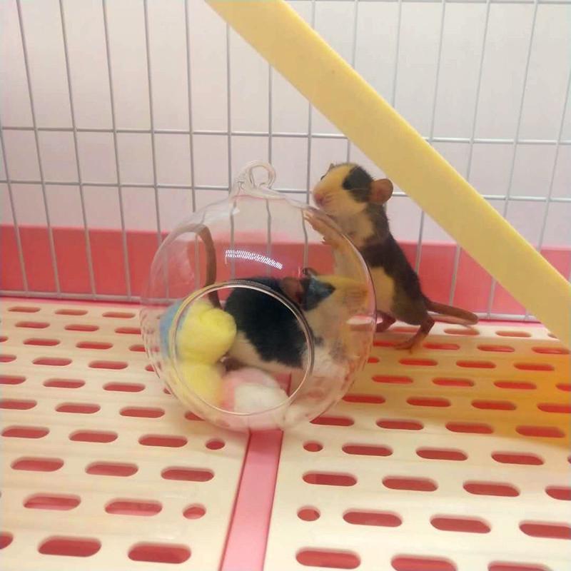 Lồng nuôi chuột hamster dễ thương