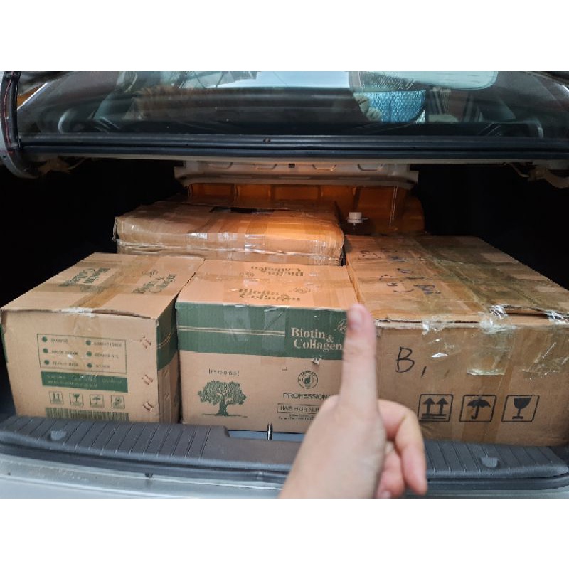 Dầu Cặp Biotin chính Hãng siêu Mọc tóc phục Hồi Hư Tổn Km Sốc | BigBuy360 - bigbuy360.vn