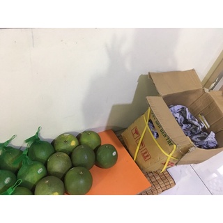 Bưởi da xanh bến tre size 1-1,3kg