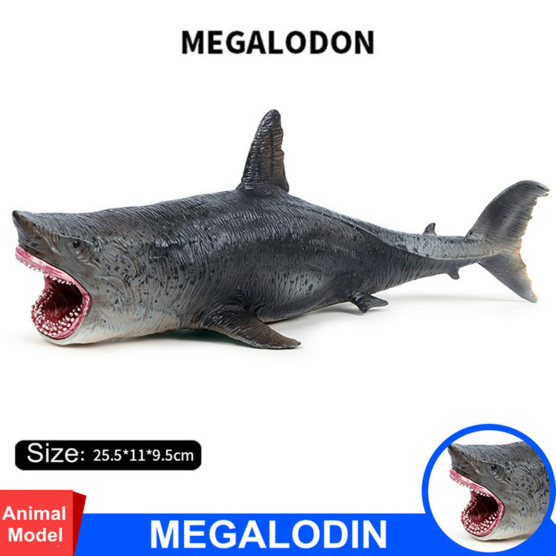 Đồ trang trí Cá Mập Megalodon Đồ Chơi Cho Bé