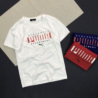ÁO THUN NAM IN MẪU MỚI COTTON 100% THẤM HÚT MỒ HÔI TỐT