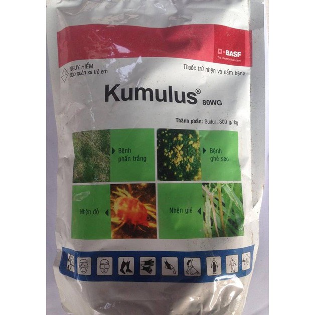 Kumulus 80WG [CHÍNH HÃNG] Đặc trị nấm bệnh, nhện đỏ, ghẻ sẹo, phấn trắng trên cây trồng - gói 1kg