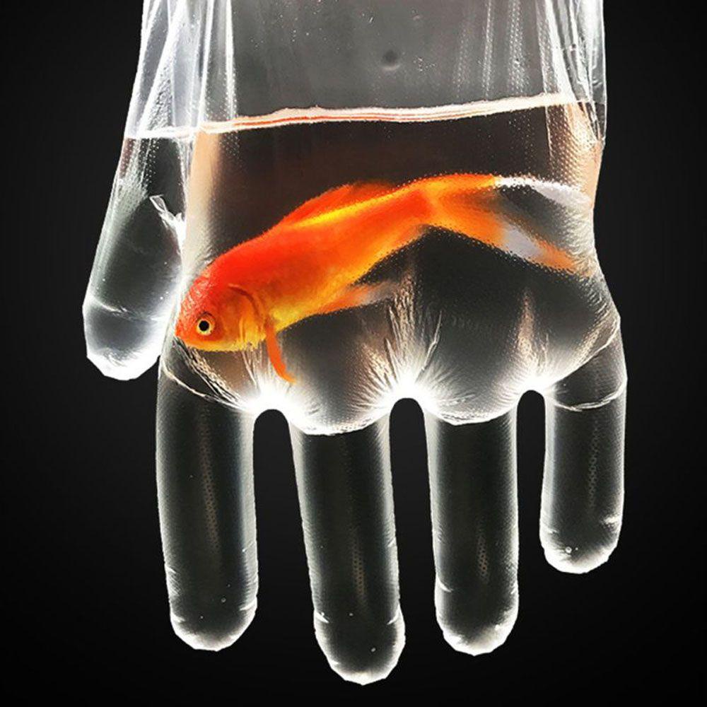 Găng Tay Nhựa PE Trong Suốt Chống Tĩnh Điện Dùng Một Lần Tiện Lợi