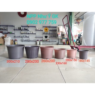Combo 10 chậu nhựa trồng cây