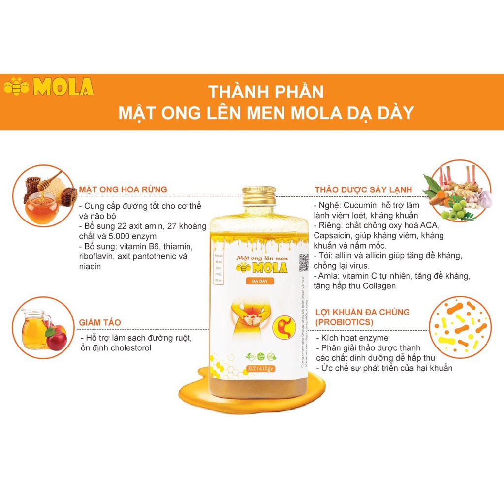 Mật ong lên men MOLA Nghệ riềng chai 260gr