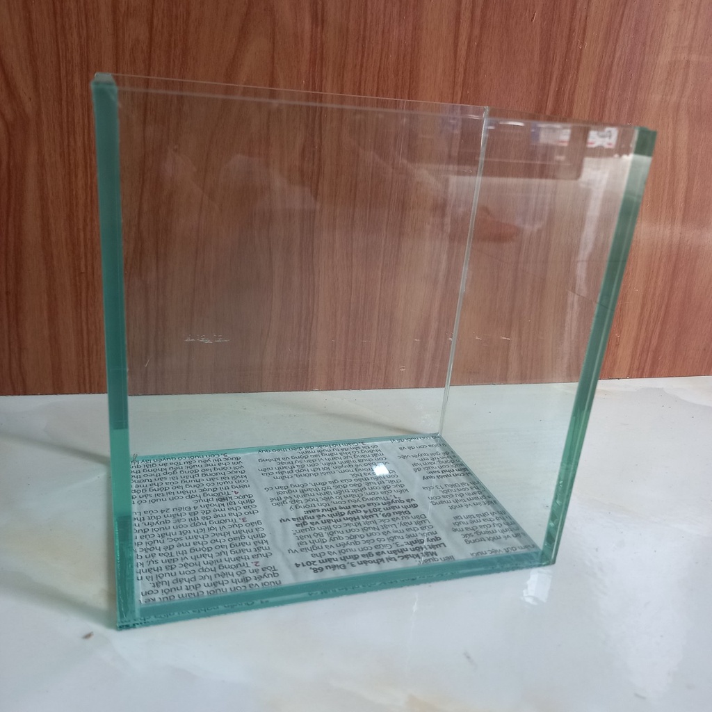 Bể Cá Betta, Guppy
