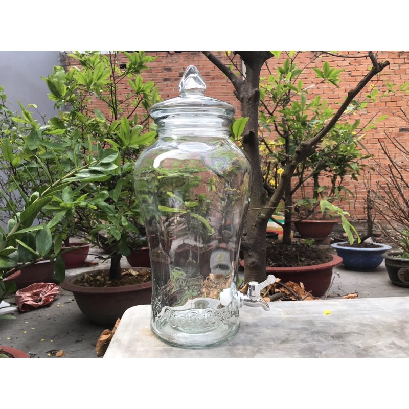Bình thủy tinh 6 lít sâm chân mây có van &amp; không van