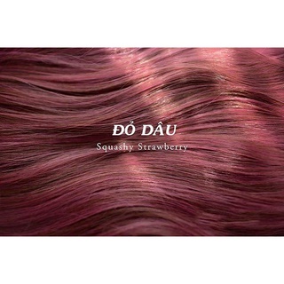 Thuốc Nhuộm Tóc Màu ĐỎ DÂU