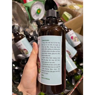 DẦU GỘI HÀ THỦ Ô CHAI 500ml