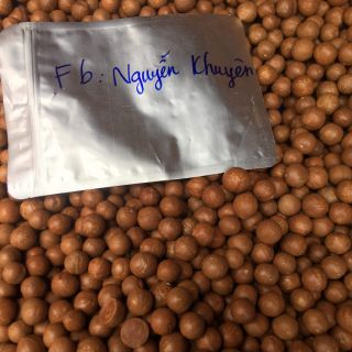 Macca vườn & hạt điều thượng hạng