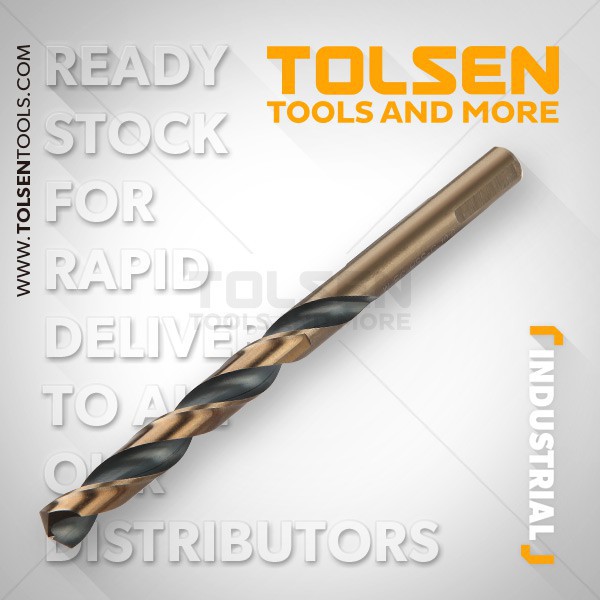 BỌC 10 MŨI KHOAN SẮT HSS TOLSEN 75105