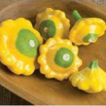 Hạt Giống Bí Đĩa Bay Vàng (Nhập Nguyên Gói Đài Loan)