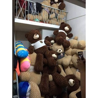 Gấu bông Teddy 1M6