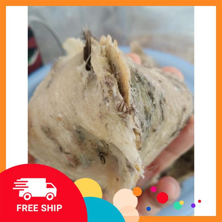 Yến Sào NGuyên Tổ Khánh Hòa Loại 1 khối lượng 100g [YẾN NHÀ NUÔI] BAO TEST, ĐƯỢC KIỂM TRA TRƯỚC KHI NHẬN HÀNG, FREESHIP | BigBuy360 - bigbuy360.vn