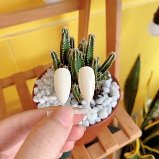 Sơn Vinimay màu trắng ngà, trắng sữa hot trend