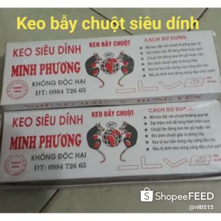BỊCH 12 TẤM KEO DÍNH CHUỘT SIÊU DÍNH MINH PHƯƠNG💥