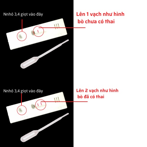 Que thử thai bò heo Dương Ninh chính xác 95% TT10