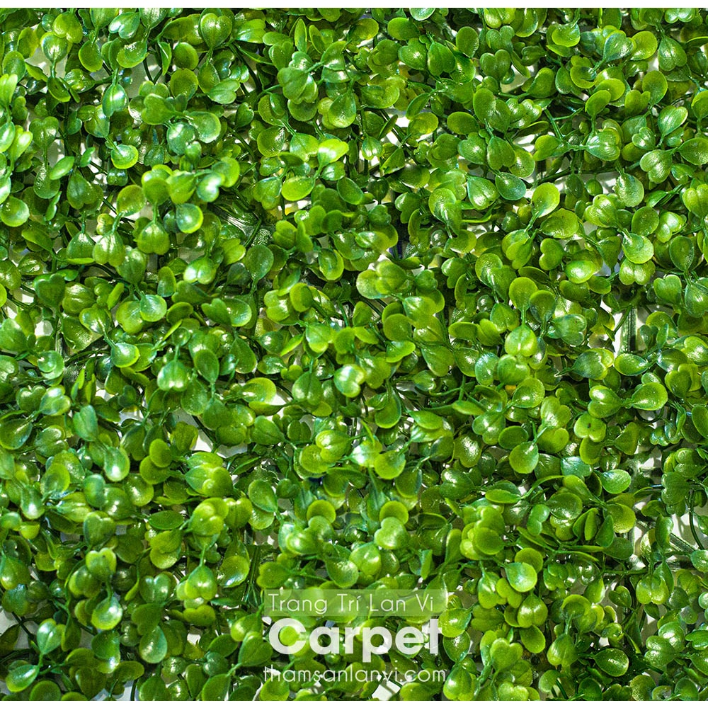 Cỏ nhân tạo treo tường, tấm cỏ nhựa cải xoang trang trí không gian nhà cửa kích thước 40cm x 60cm