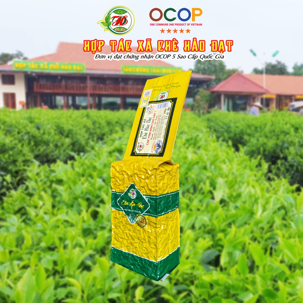 Chè Tôm Nõn Cao Cấp 1 - Hợp Tác Xã Chè Hảo Đạt - Chè Tân Cương Thái Nguyên