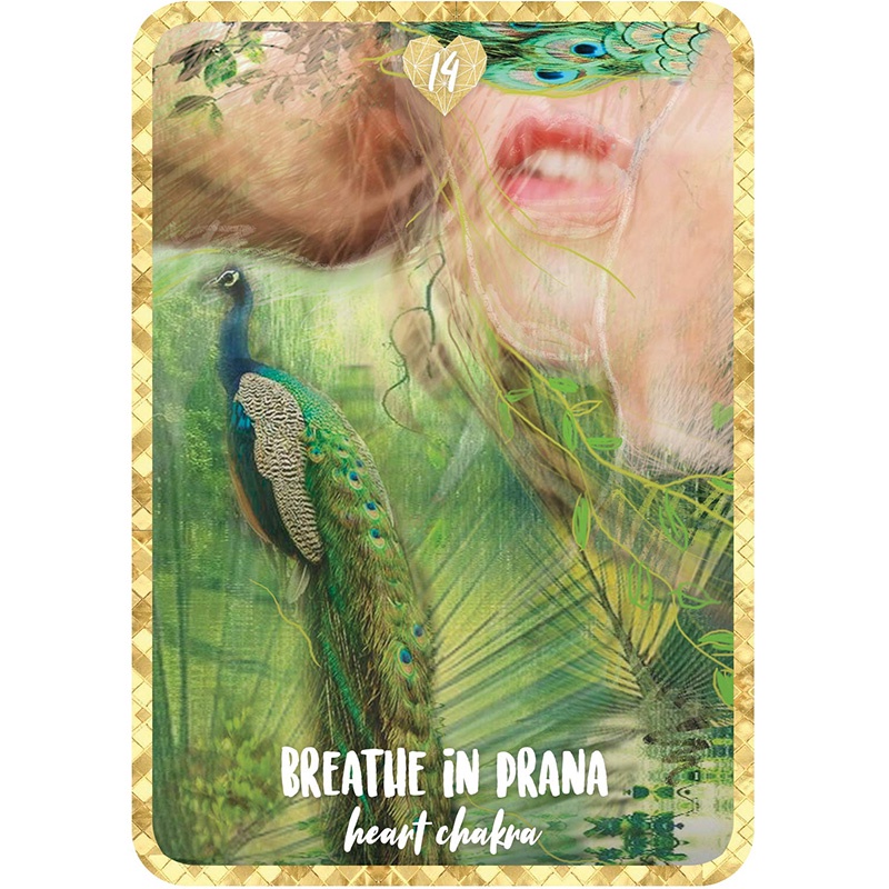Bộ Bài Self Love Oracle (Mystic House Tarot Shop) - Bài Gốc Authentic Chính Hãng 100%