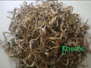 500g trinh nữ hoàng cung