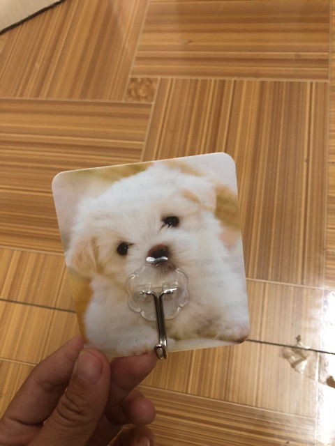 Móc dán tường 3D MÓC HOA VĂN Trang trí
