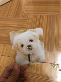 Móc dán tường 3D MÓC HOA VĂN Trang trí
