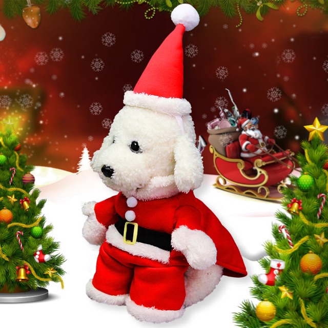 THỜI TRANG MÙA ĐÔNG - BỘ HOÁ TRANG ÔNG GIÀ NOEL DÀNH CHO CÁC BÉ THÚ CƯNG