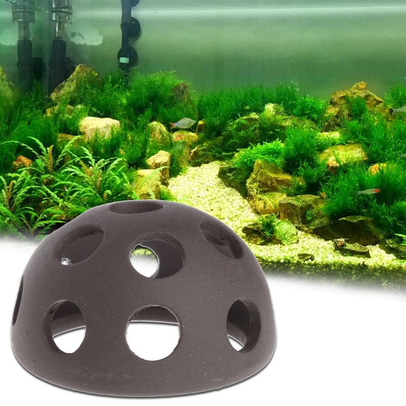 Hang Động Bằng Gốm Trang Trí Bể Cá Betta Hi