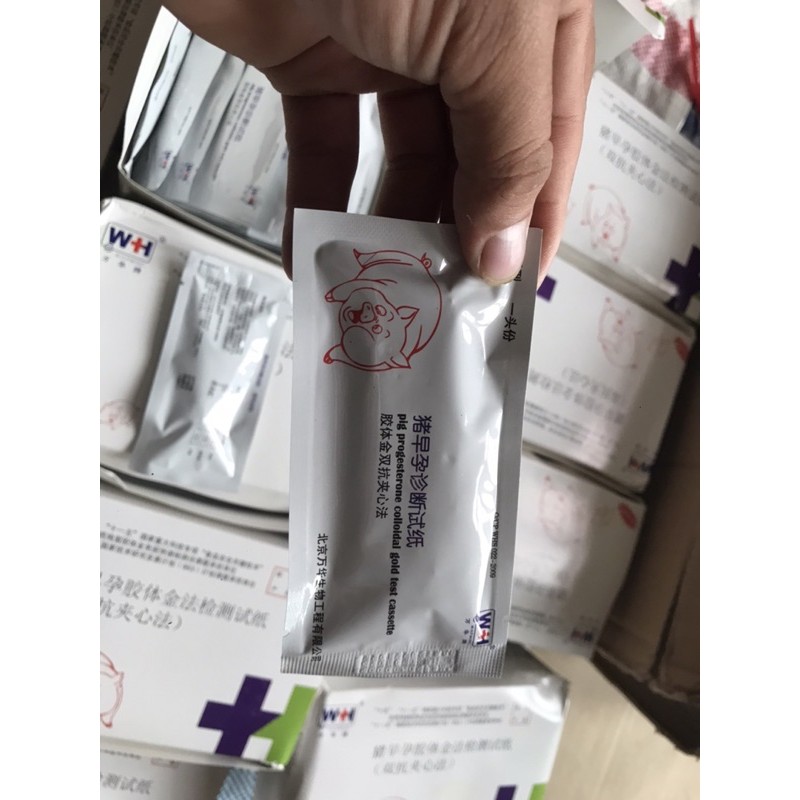 Que Thử Thai Cho Heo Lợn Chính Xác đến 90% - Que Thử Thai Heo Phát Hiện Mang Thai Nhanh Chóng, Chính Xác Cao