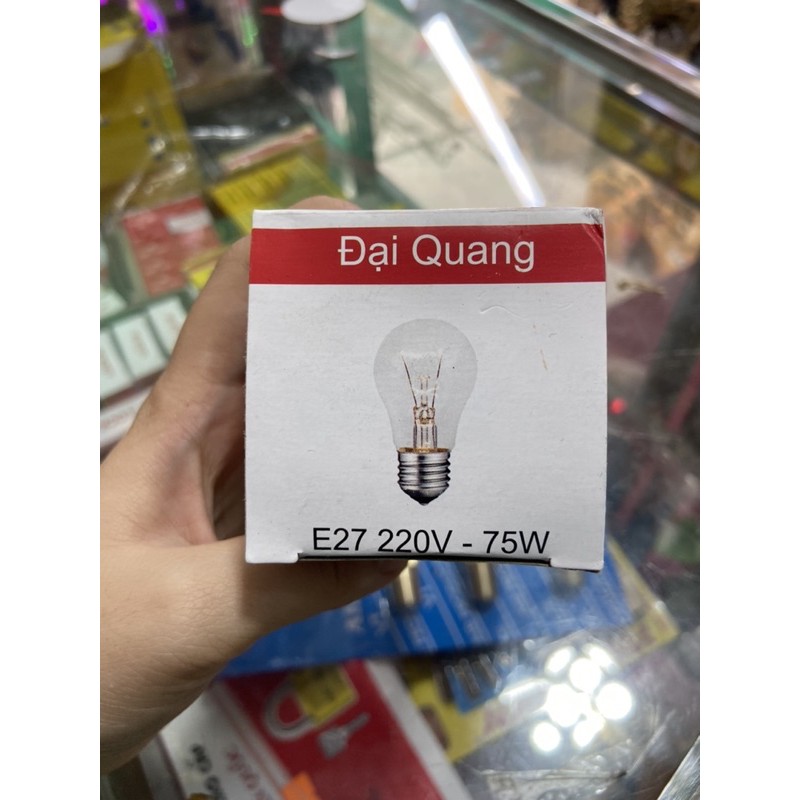 Bóng Đèn Sợi Đốt, Bóng Dây Tóc 60W Điện Quang/75 W Đại Quang - Mua lẻ giá sỉ