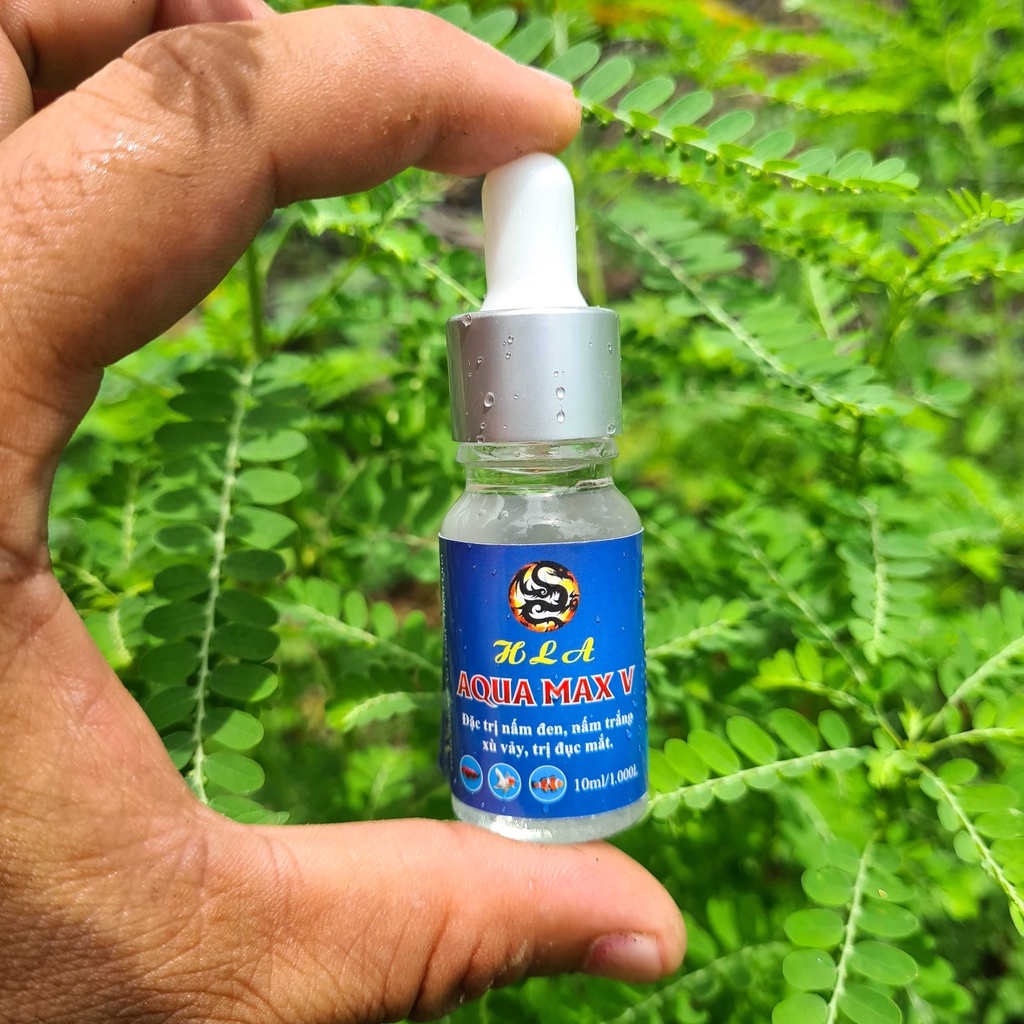 Dung dịch Aqua Max 5