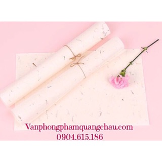 Giấy gió ép cỏ handmade (KT: 17cm x 27cm) - Set 10 tờ