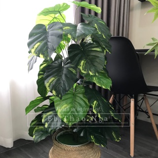 Cây trầu bà giả 1m