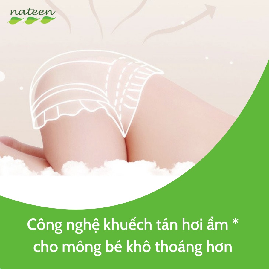 Tã Bỉm Dán Hữu Cơ Nateen Genious Dòng Cải Tiến Cao Cấp Châu Âu Size L42 (8 - 11kg)