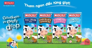 SỮA TƯƠI MARIGOLD SINGAPORE