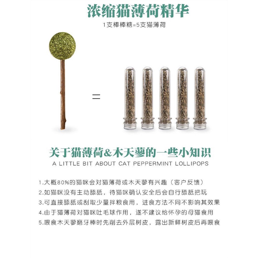 Gậy Đồ Chơi Huấn Luyện Hình Khủng Long Dành Cho Trẻ Em